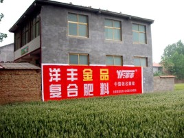淮北如何让墙体广告展现最大化效果
